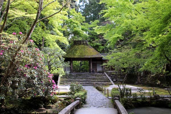 法然院 新緑の盛り_e0048413_21263356.jpg