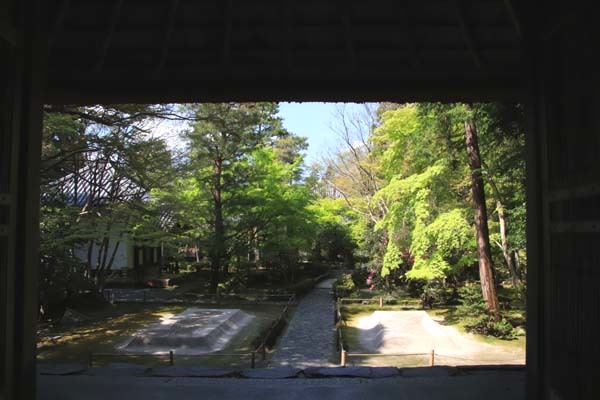 法然院 新緑の盛り_e0048413_21264454.jpg