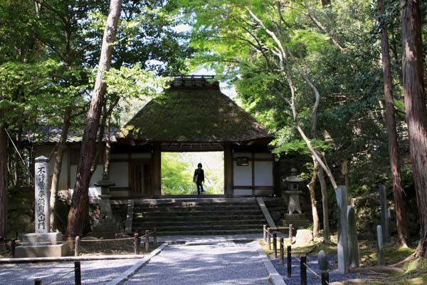 法然院 新緑の盛り_e0048413_21264891.jpg