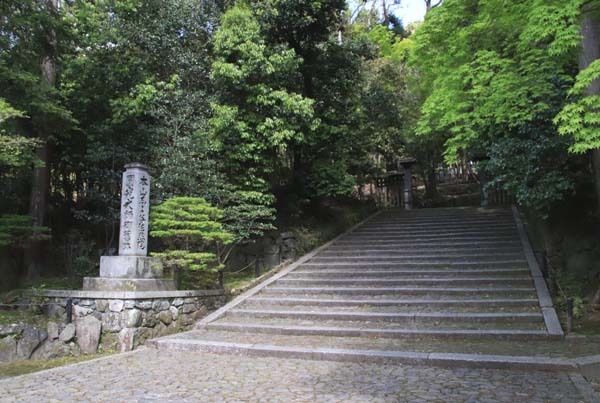 法然院 新緑の盛り_e0048413_21265591.jpg