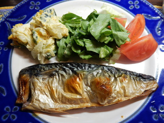 ’20,5,7(木)「スマフォ散歩」とサバとポテトサラダの夕食!_f0060461_08281196.jpg