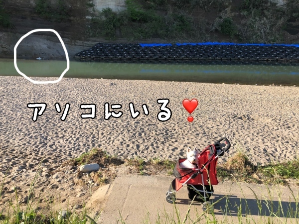 帰りた い 帰れない でんでんでん２