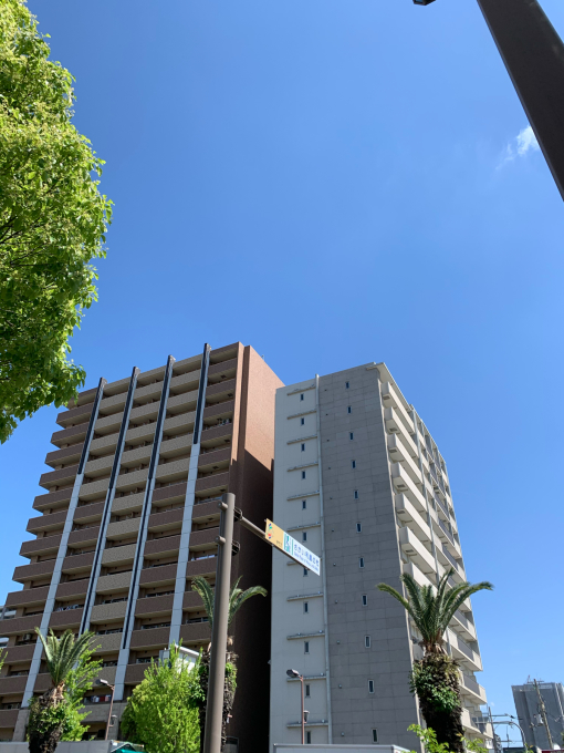 キラッキラの1日(*^。^*)_f0152875_09572064.jpg
