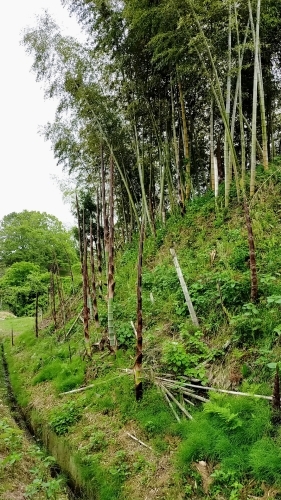 一杯_d0195183_01060699.jpg