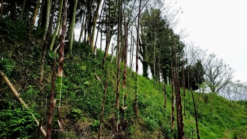 一杯_d0195183_01062476.jpg