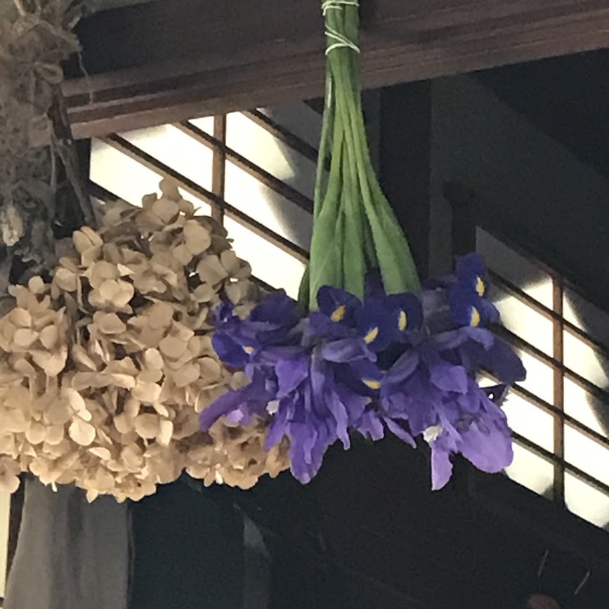 あれ?こんなところに・・・「いずれアヤメかカキツバタ!」編_e0359584_09004238.jpg