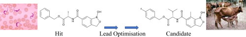 MedChem界隈の方々へ: エステル誘導体を考える_c0024385_21103517.jpg