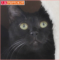 魅惑のキャットタワー_a0389088_09275152.jpg
