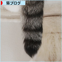 魅惑のキャットタワー_a0389088_09275192.jpg