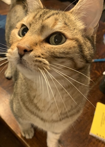 休み明け_e0358096_20473989.jpeg