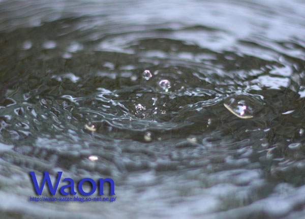 ウォータークラウン失敗 Waon S Blog ウォータークラウン失敗 Waon S Blog