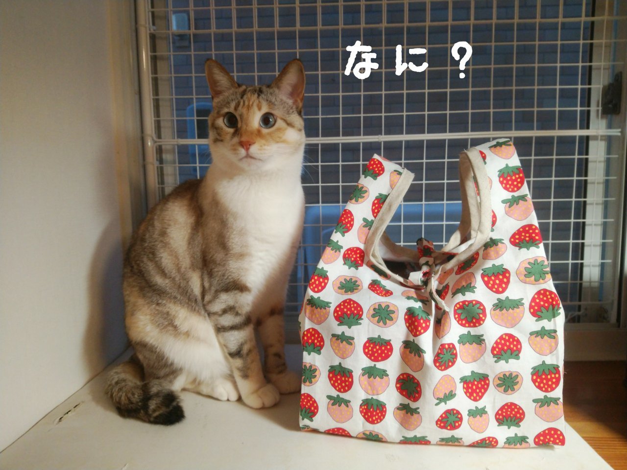 コンビニバッグ_f0255704_19172831.jpg
