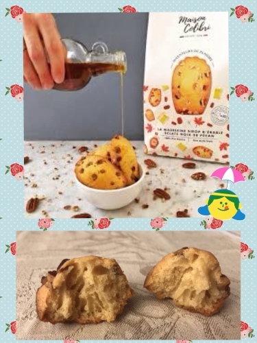 おいしいマドレーヌみーつけたっ！ : 私、 フランスのJK (高校生