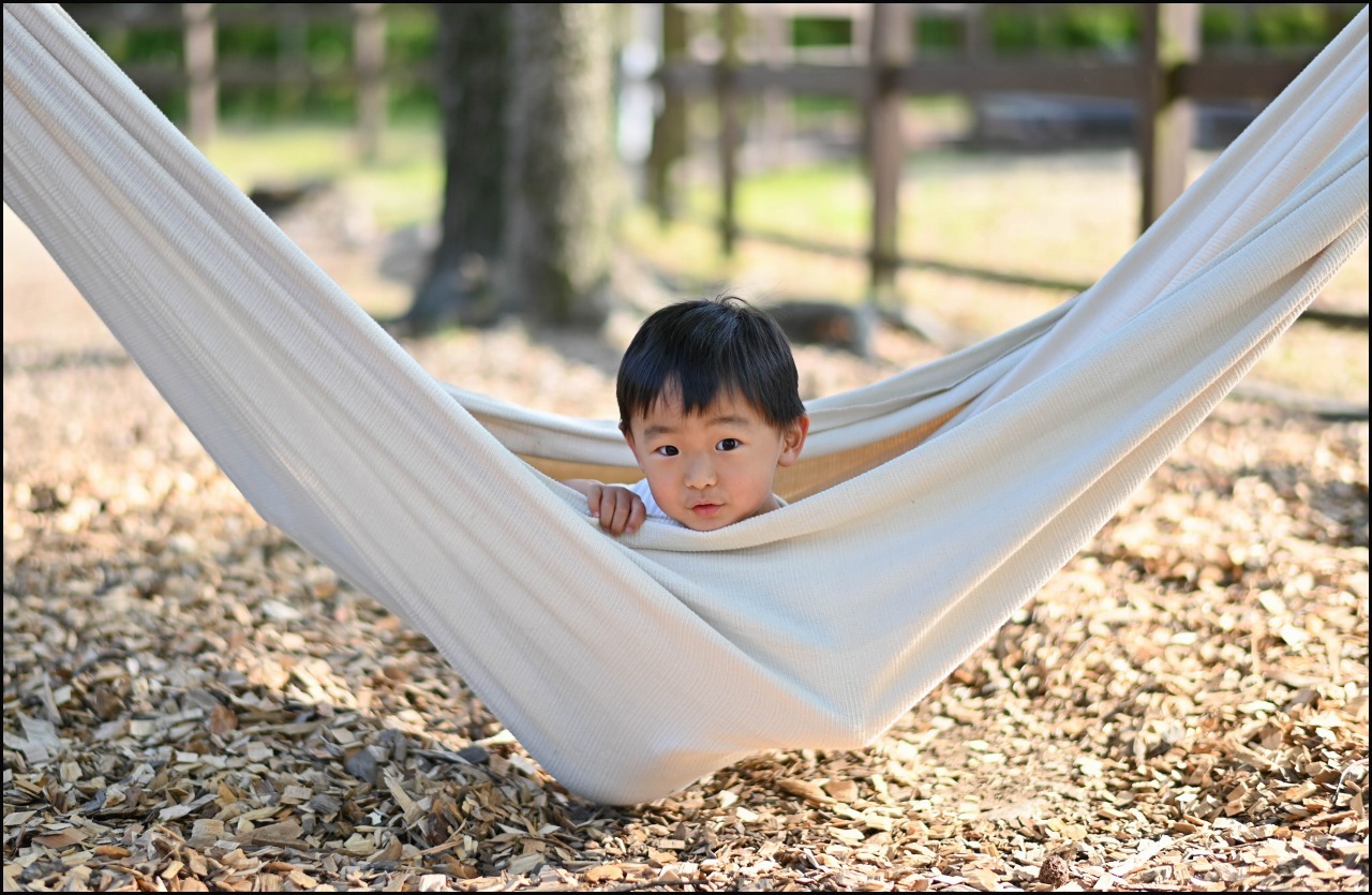  scene1705：AF-S NIKKOR 58mm f/1.4G　やばい！　Nikon Z6売らなくてよかった・・・。_e0253132_18114695.jpg