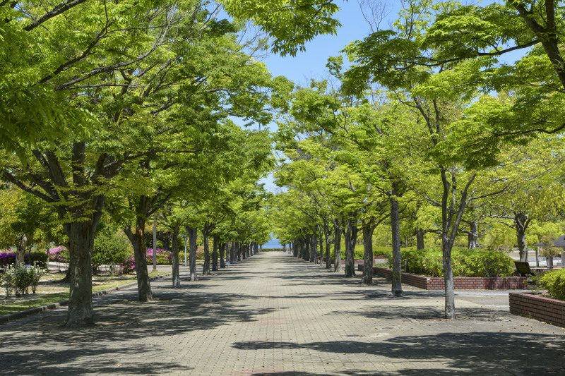 新緑の中で深呼吸 誰もいない香川県総合運動公園 Muragi の 写真の世界 新緑の中で深呼吸 誰もいない香川県総合運動公園 Muragi の 写真の世界