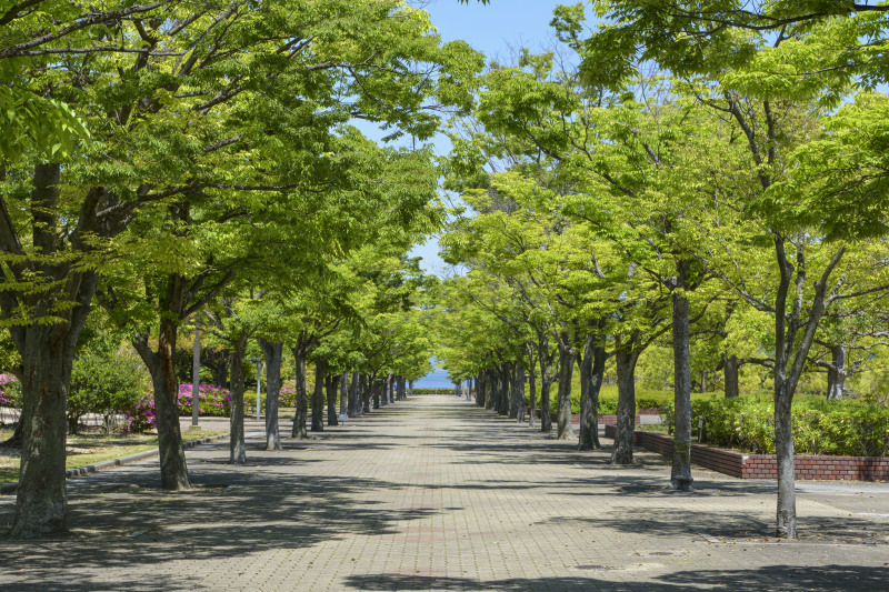 新緑の中で深呼吸 誰もいない香川県総合運動公園 Muragi の 写真の世界 新緑の中で深呼吸 誰もいない香川県総合運動公園 Muragi の 写真の世界