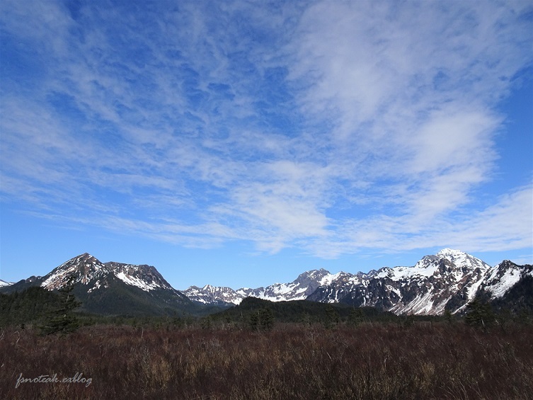 Mountain goat / シロイワヤギ を探す_d0356844_04402632.jpg