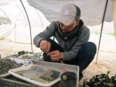 水源キウイ 2020年年も元気に開花しました!今年も完全無農薬・無化学肥料で育てます!!_a0254656_20235841.jpg
