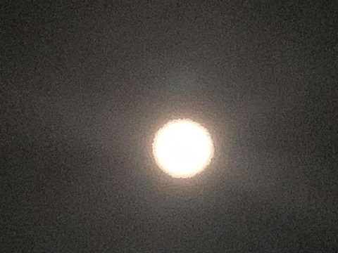 満月だね~_e0040673_18010614.jpg