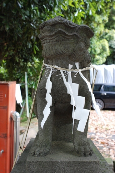 　　雪ケ谷八幡神社の狛犬さん。_c0150974_18355947.jpg