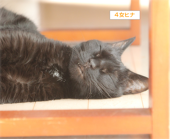 店長の休日_a0389088_00065197.jpg