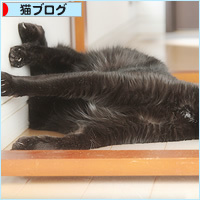 店長の休日_a0389088_00065443.jpg