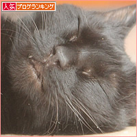 店長の休日_a0389088_00065457.jpg