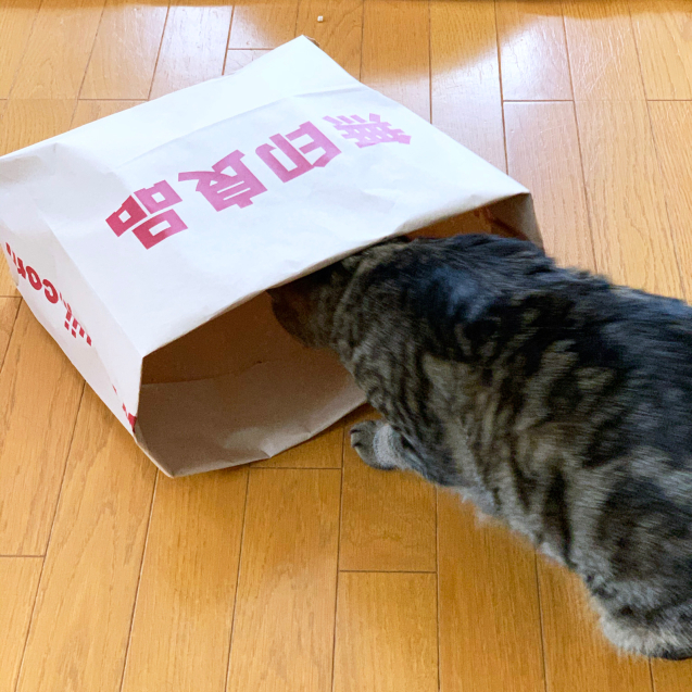 無印さん行ったあとは_d0355333_22373930.jpg