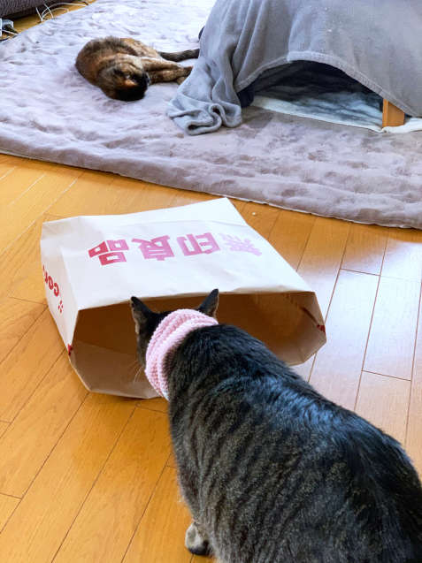無印さん行ったあとは_d0355333_22374334.jpg