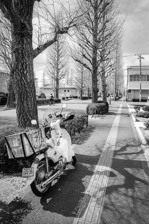 街路樹の影に立ち止まるスーパーカブ_f0265234_22101140.jpg