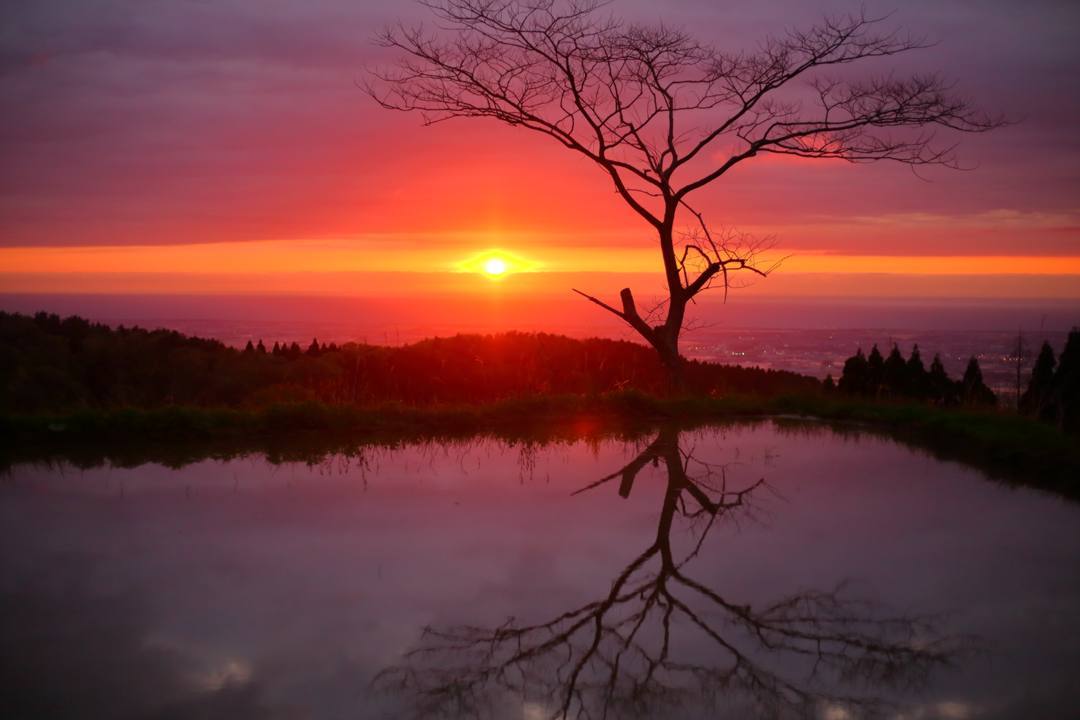 棚田の夕焼け 5/6_e0403850_20154871.jpg