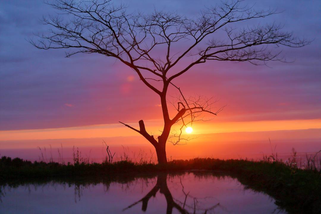 棚田の夕焼け 5/6_e0403850_20155949.jpg