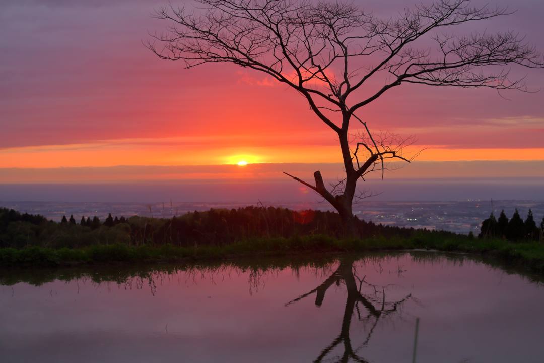 棚田の夕焼け 5/6_e0403850_20160818.jpg