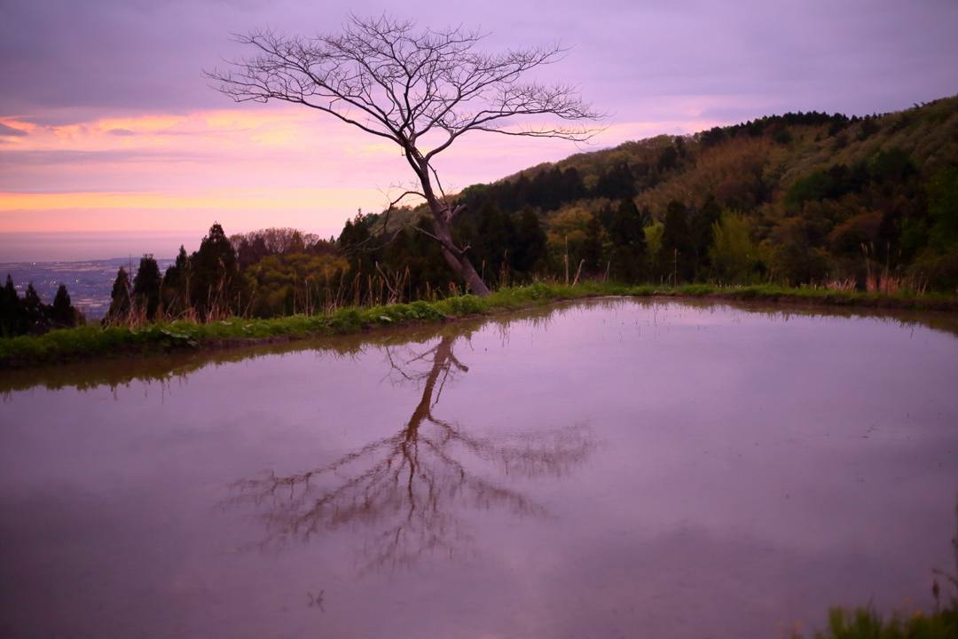 棚田の夕焼け 5/6_e0403850_20161206.jpg