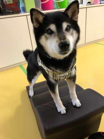 トレーニングブログ_f0357682_22002184.jpeg
