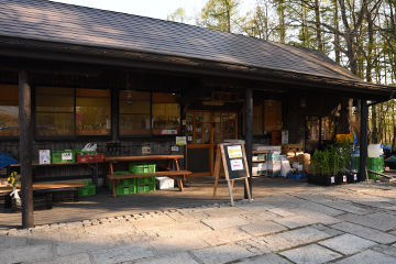 名残り・2020桜（私の桜 2020）_e0414191_04491887.jpg