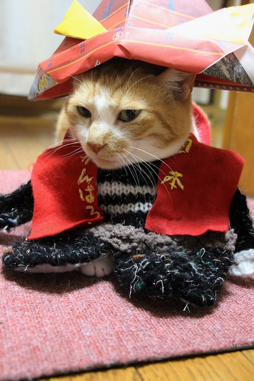 お家で過ごそう_a0333195_21453537.jpg