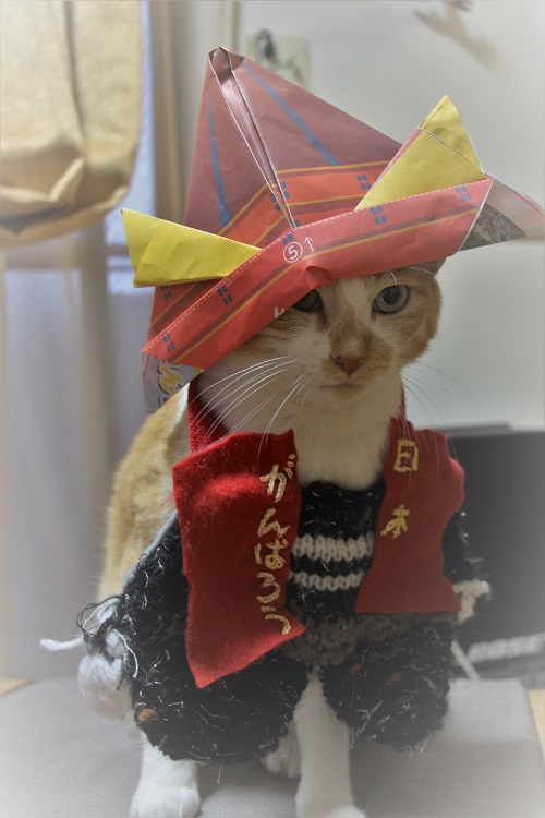 お家で過ごそう_a0333195_21454255.jpg