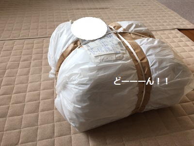 おうちで布狩り♪_f0372998_19014263.jpg