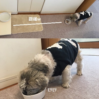 おうちで布狩り♪_f0372998_19030768.jpg