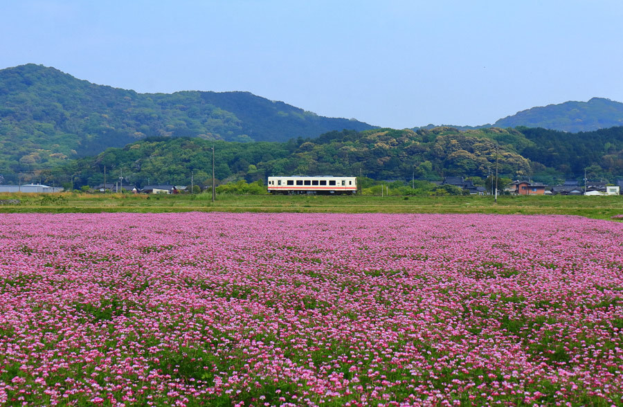 ＊蓮華＊ 蓮華咲く平成筑豊鉄道 : 九州ロマンチック街道