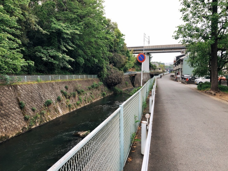 コロナ太りをウオーキングで解消!先ずは格好が大事かも~_d0172227_08280025.jpeg