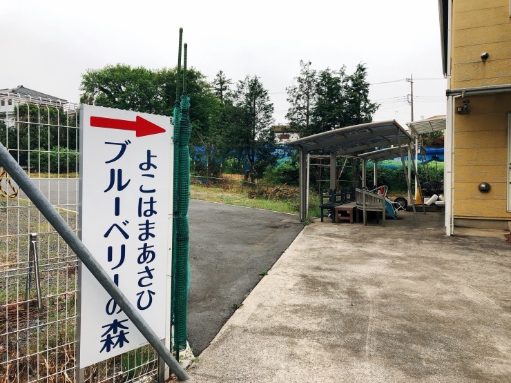 コロナ太りをウオーキングで解消!先ずは格好が大事かも~_d0172227_08322958.jpeg