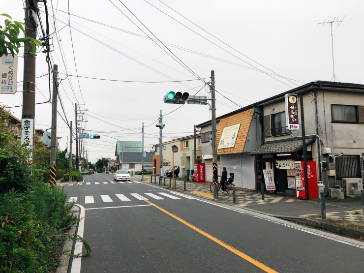 コロナ太りをウオーキングで解消!先ずは格好が大事かも~_d0172227_08324882.jpeg