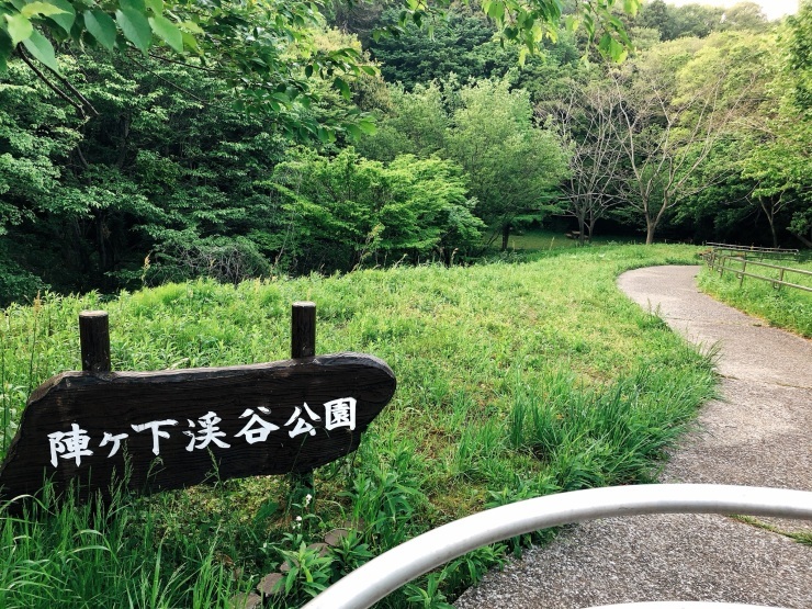 コロナ太りをウオーキングで解消!先ずは格好が大事かも~_d0172227_08351089.jpeg