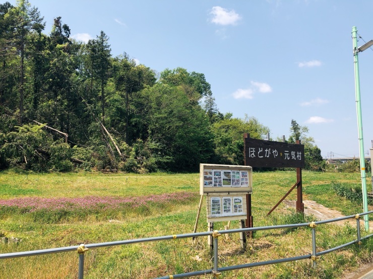 コロナ太りをウオーキングで解消!先ずは格好が大事かも~_d0172227_08402437.jpeg