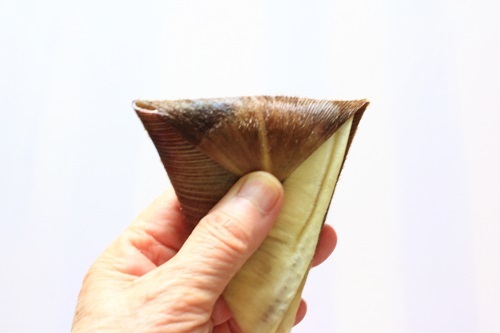 筍の思い出_c0229539_11321248.jpg
