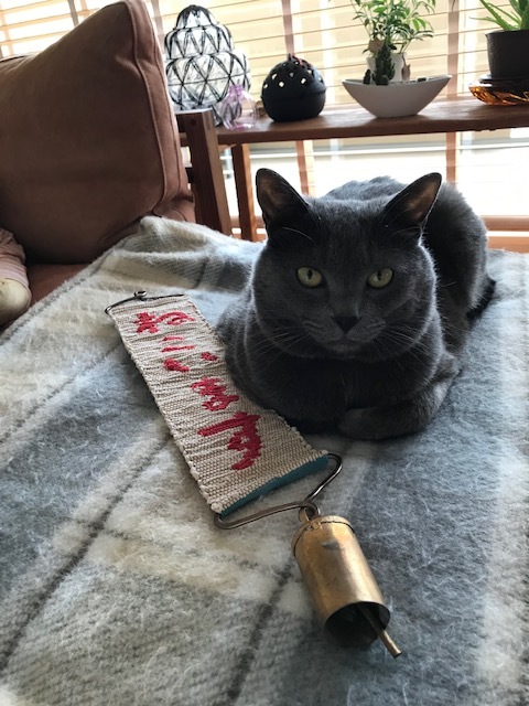 今年も猫にまみれたG.W.が終わった_b0322280_19403447.jpeg