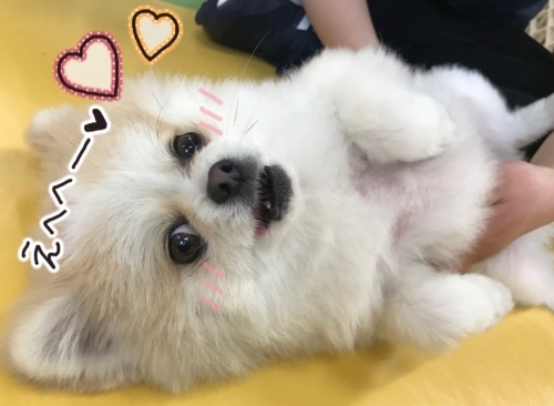たくさん遊ぼうねー🌼_f0357682_13085550.jpg