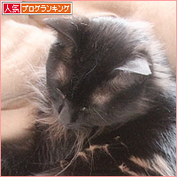 でかい猫_a0389088_02401590.jpg